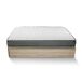 Cama Canape Abatible + Colchon Cama Canape Abatible + Colchon Blanco