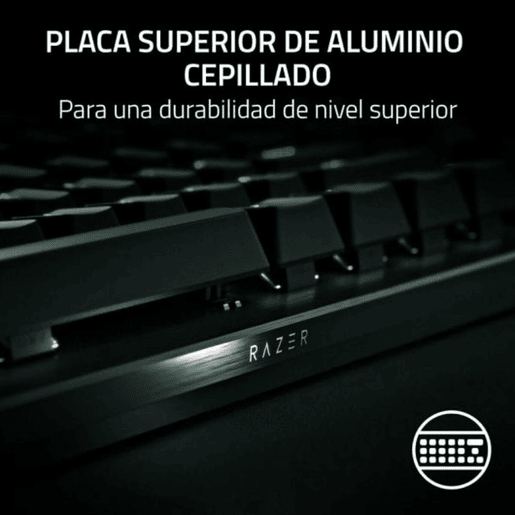 Teclado Razer RZ03-04970100-R3M1