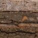 Cesto de madera con asas Cesto de madera con asas Marrón