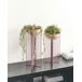 Beliani Conjunto de 2 macetas con patas FICARIA Beliani Conjunto de 2 macetas con patas FICARIA Rosa