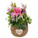 Flores Decorativas Flores Decorativas Multicolor