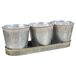 3 Cubos de metal y Bandeja 3 Cubos de metal y Bandeja Gris