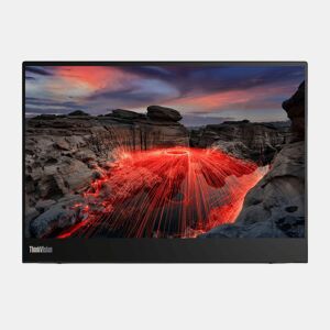 Monitor Lenovo ThinkVision M14t 14