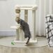 Árbol para Gato Aglomerado de Madera, Lana de Cordero PawHut Árbol para Gato Aglomerado de Madera, Lana de Cordero PawHut Crudo
