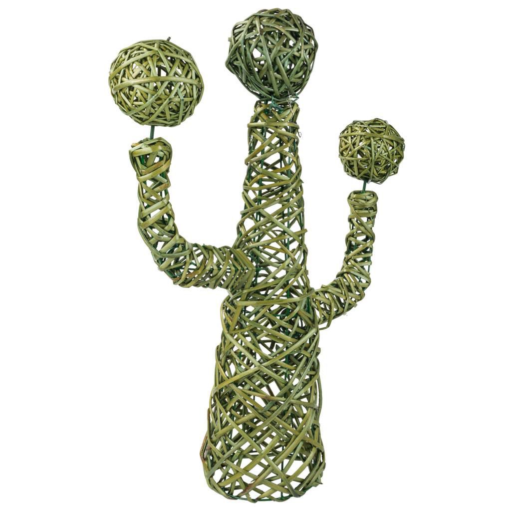 Cactus decoración de mimbre