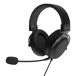Auriculares Auriculares Negro