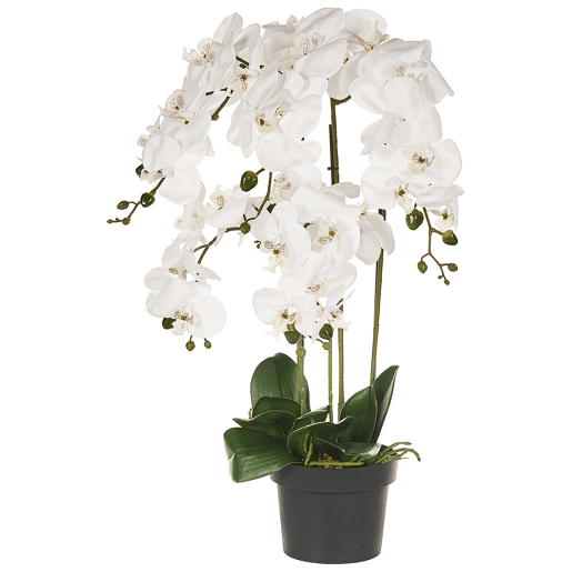 Beliani Planta artificial ORCHID Beliani Planta artificial ORCHID