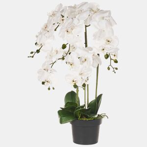 Beliani Planta artificial ORCHID