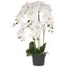Beliani Planta artificial ORCHID Beliani Planta artificial ORCHID Blanco/ Verde