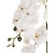 Beliani Planta artificial ORCHID Beliani Planta artificial ORCHID Blanco/ Verde