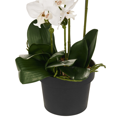 Beliani Planta artificial ORCHID Beliani Planta artificial ORCHID