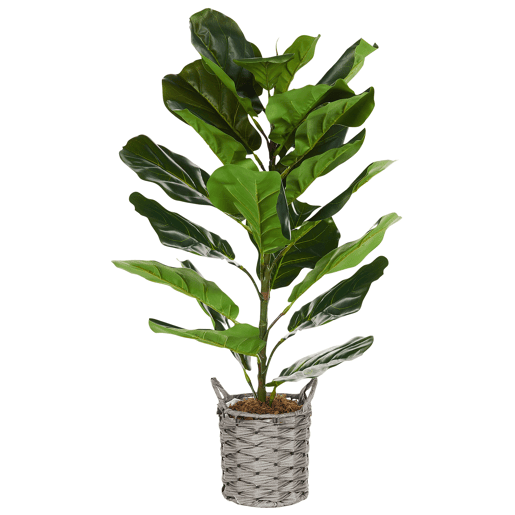 Beliani Planta artificial FIDDLE LEAF TREE