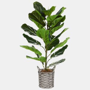 Beliani Planta artificial FIDDLE LEAF TREE