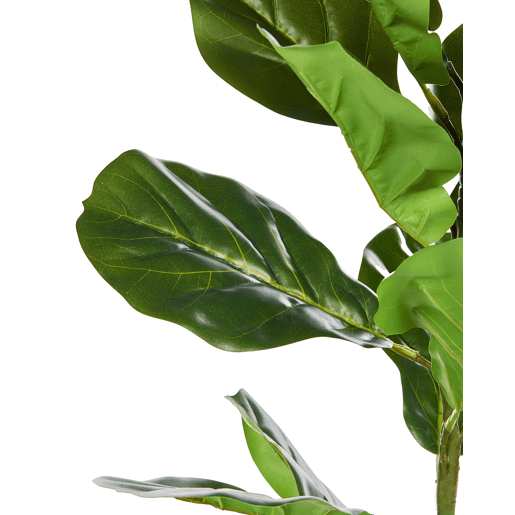 Beliani Planta artificial FIDDLE LEAF TREE