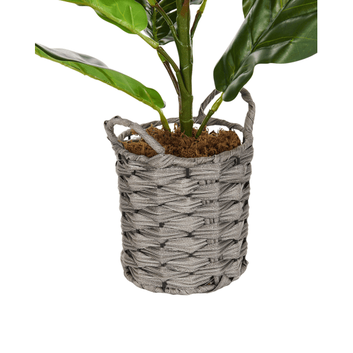 Beliani Planta artificial FIDDLE LEAF TREE