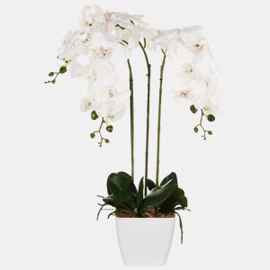 Beliani Planta artificial ORCHID