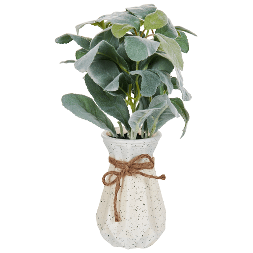 Beliani Planta artificial PEPEROMIA ARGYREIA Beliani Planta artificial PEPEROMIA ARGYREIA