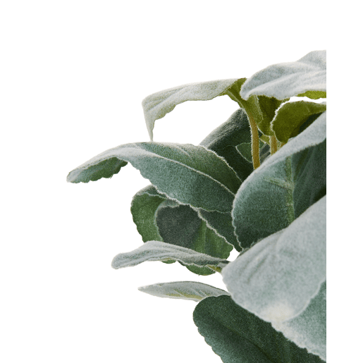 Beliani Planta artificial PEPEROMIA ARGYREIA Beliani Planta artificial PEPEROMIA ARGYREIA