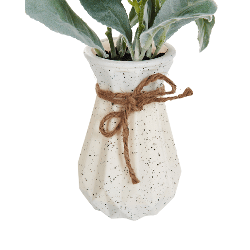 Beliani Planta artificial PEPEROMIA ARGYREIA Beliani Planta artificial PEPEROMIA ARGYREIA