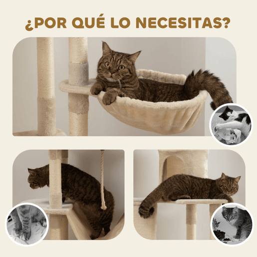 undefined undefined