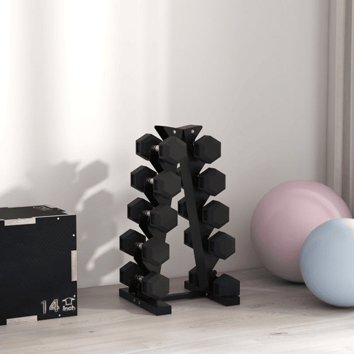 SPORTNOW Suporte para Halteres de 5 Níveis Suporte de Armazenamento para Halteres de Aço para Treinamento em Ginásio Casa Carga 100 kg 35x33x66 cm Preto