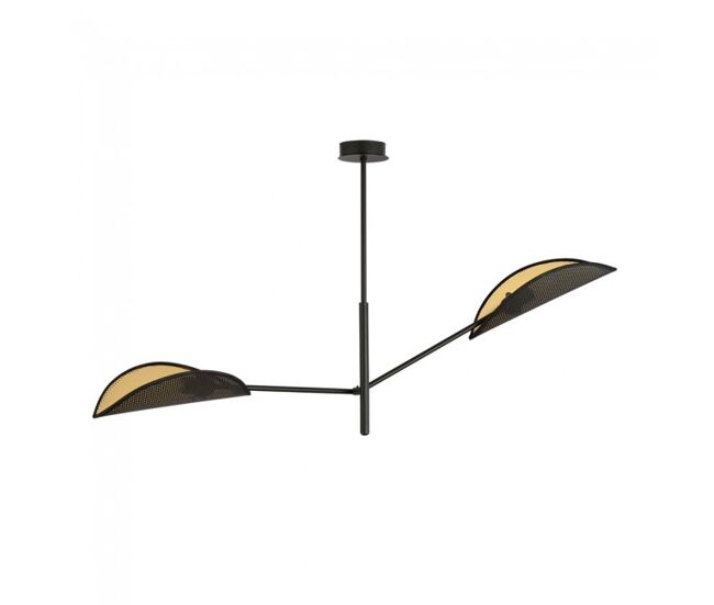 Lámpara de techo cano negro 2 luces marca wonderlamp