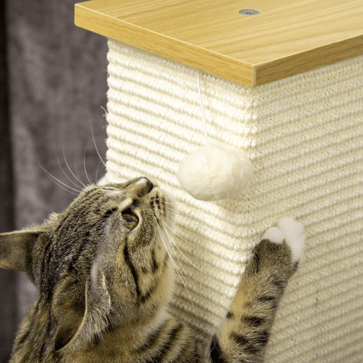 PawHut Poste Arranhador para Gatos Arranhador para Gatos de 80cm Árvore Arranhador para Gatos com Poste de Sisal e Bola Suspensa para Interior 38x38x80cm Carvalho PawHut Poste Arranhador para Gatos Arranhador para Gatos de 80cm Árvore Arranhador para Gatos com Poste de Sisal e Bola Suspensa para Interior 38x38x80cm Carvalho