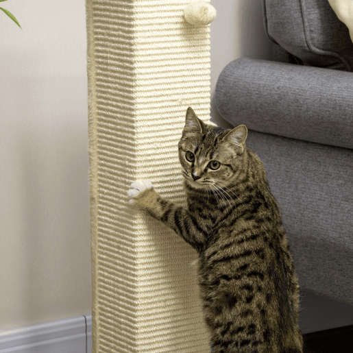 PawHut Poste Arranhador para Gatos Arranhador para Gatos de 80cm Árvore Arranhador para Gatos com Poste de Sisal e Bola Suspensa para Interior 38x38x80cm Carvalho PawHut Poste Arranhador para Gatos Arranhador para Gatos de 80cm Árvore Arranhador para Gatos com Poste de Sisal e Bola Suspensa para Interior 38x38x80cm Carvalho