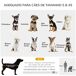 Cochecito para Mascota Acero, Tela Oxford PawHut Cochecito para Mascota Acero, Tela Oxford PawHut Gris