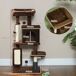 Árbol para Gato Aglomerado de Madera PawHut Árbol para Gato Aglomerado de Madera PawHut Marrón