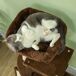 Árbol para Gato Aglomerado de Madera PawHut Árbol para Gato Aglomerado de Madera PawHut Marrón