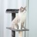 Árbol para Gato Árbol para Gato Multicolor