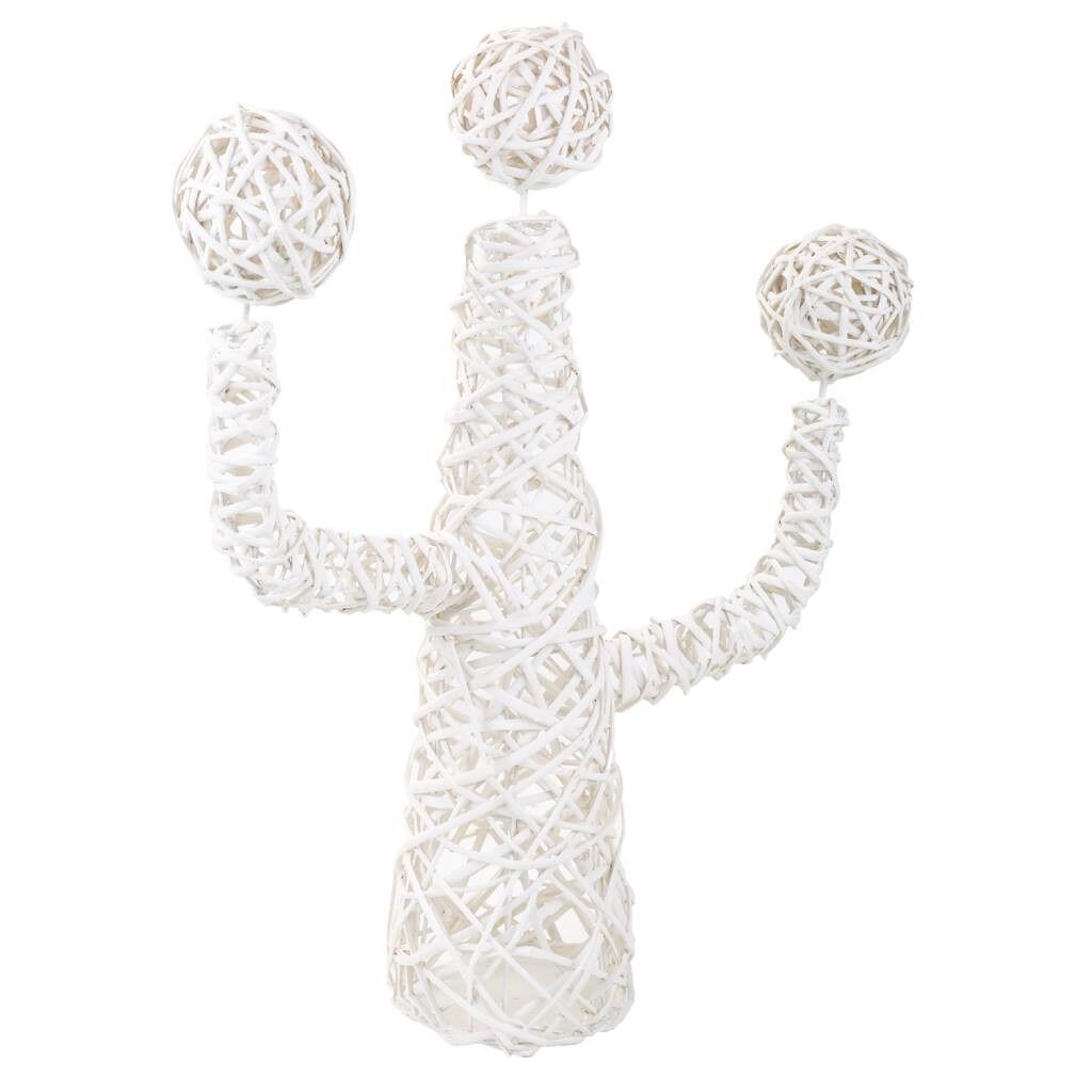 Cactus decoración de mimbre
