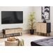 Beliani Mueble TV DALCROSS Beliani Mueble TV DALCROSS Negro/ Madera