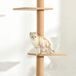 Árbol para Gato Aglomerado de Madera, Felpa PawHut Árbol para Gato Aglomerado de Madera, Felpa PawHut Marrón