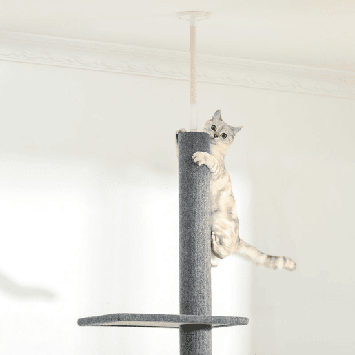PawHut Arranhador para Gatos de Chão ao Teto 43x27x228-260 cm com Altura Ajustável, 4 Plataformas e Poste Cinzento