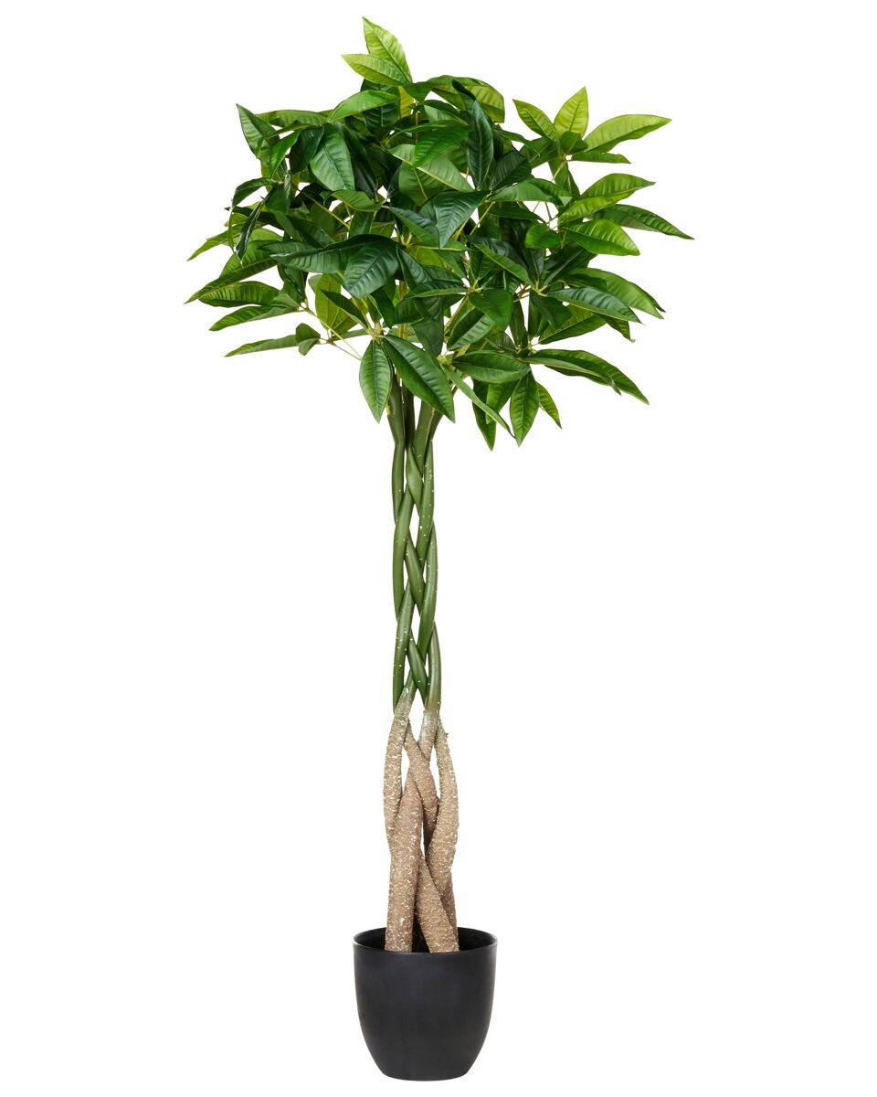 Beliani Planta artificial PACHIRA TREE