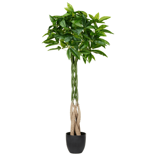 Planta artificial PACHIRA TREE 120 cm Verde Planta artificial PACHIRA TREE 120 cm Verde