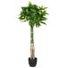 Beliani Planta artificial PACHIRA TREE Beliani Planta artificial PACHIRA TREE Verde