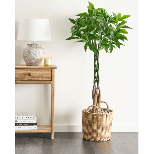 Planta artificial PACHIRA TREE 120 cm Verde Planta artificial PACHIRA TREE 120 cm Verde