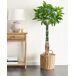 Beliani Planta artificial PACHIRA TREE Beliani Planta artificial PACHIRA TREE Verde
