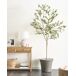 Beliani Planta artificial OLIVE TREE Beliani Planta artificial OLIVE TREE Verde