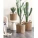Beliani Conjunto de 3 macetas PENDULA Beliani Conjunto de 3 macetas PENDULA Natural