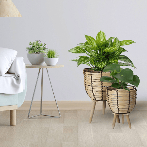 WELL HOME - Conjunto de 2 cestos de madeira com pernas Ø21Ø27cm