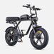 Bicicleta Eléctrica ENGWE M1 EU - 250W Batería 48V15.6AH Bicicleta Eléctrica ENGWE M1 EU - 250W Batería 48V15.6AH Negro