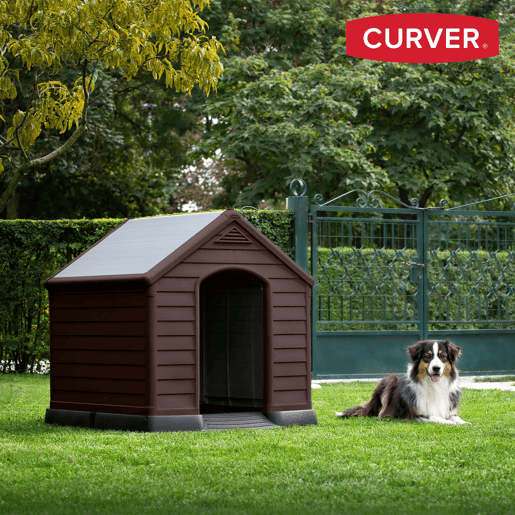 Curver Casinha de cão castanha em resina com chão elevado e sistema de ventilação 95x99x99 cm