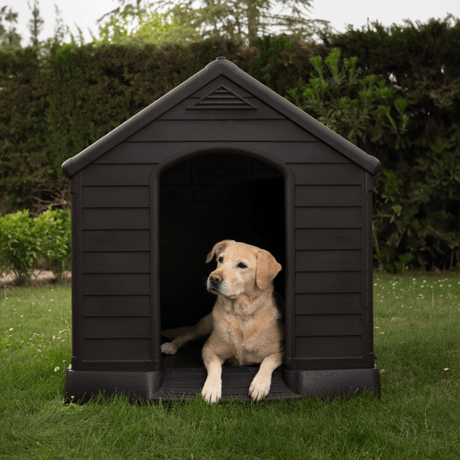 Curver Casinha de cão castanha em resina com chão elevado e sistema de ventilação 95x99x99 cm