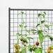 Jardinera con Celosía Acero Galvanizado Outsunny Jardinera con Celosía Acero Galvanizado Outsunny Gris