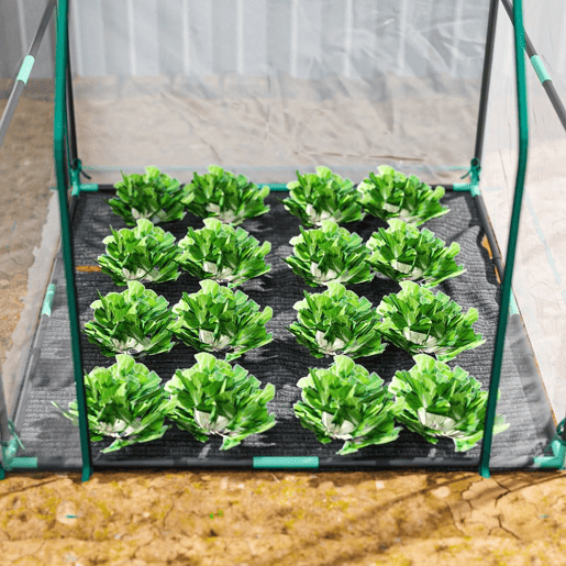 Outsunny Estufa Pequena Estufa de Exterior Porta com Fecho de Correr Base de Tecido PE Impermeável e Estrutura de Aço Estufa para Cultivar Plantas Flores 90x90x105 cm Transparente