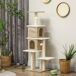 Árbol para Gato Aglomerado de Madera, Borreguito PawHut Árbol para Gato Aglomerado de Madera, Borreguito PawHut Marrón